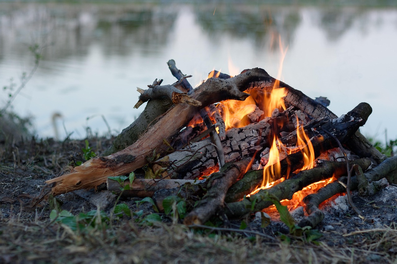 大神打鱼游戏怎么玩？技巧攻略、如何避免风险？
