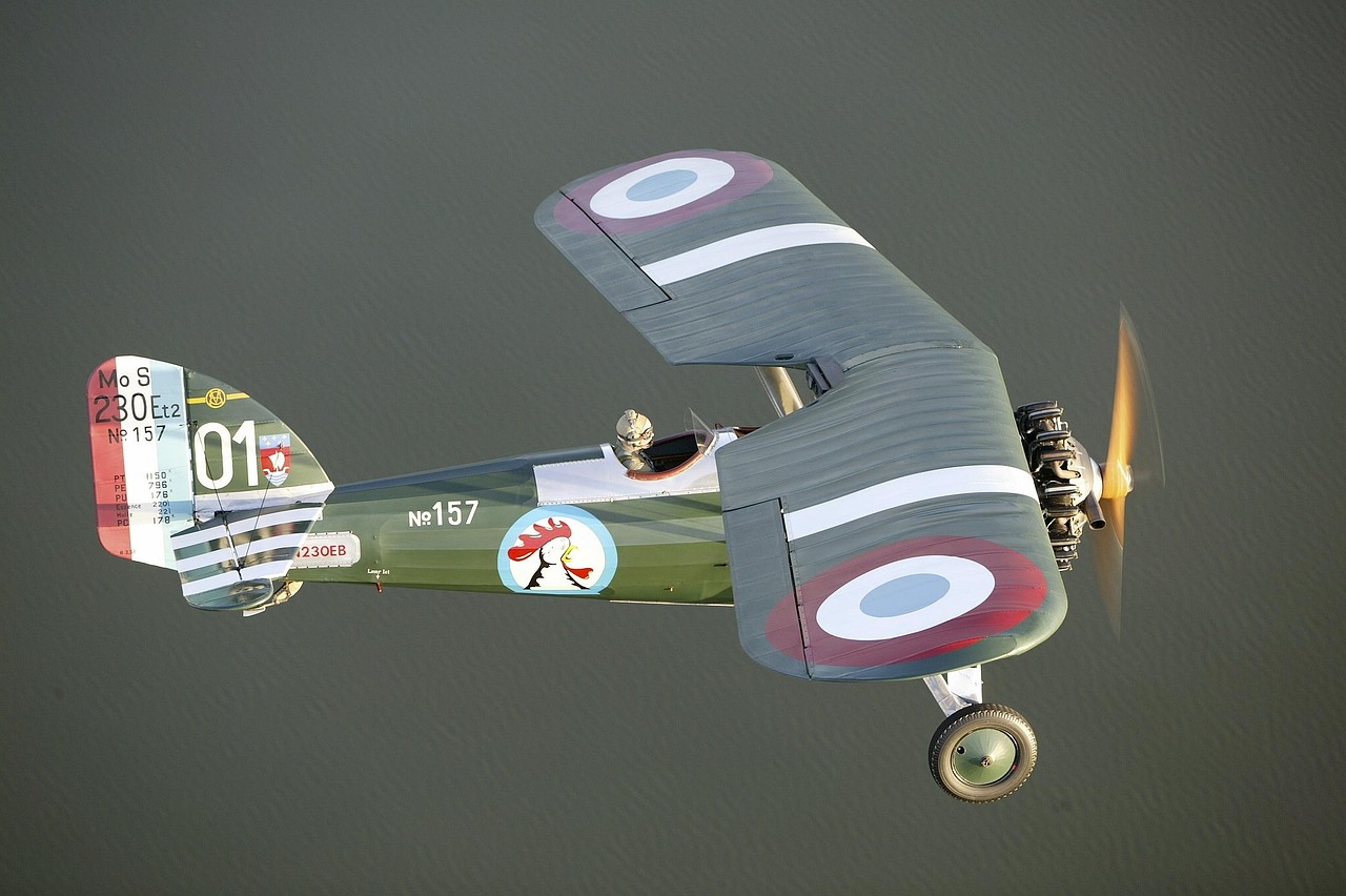 如何在游戏中找到大神带飞,提升游戏体验? 如何在游戏中找到大神带飞,提升游戏体验?