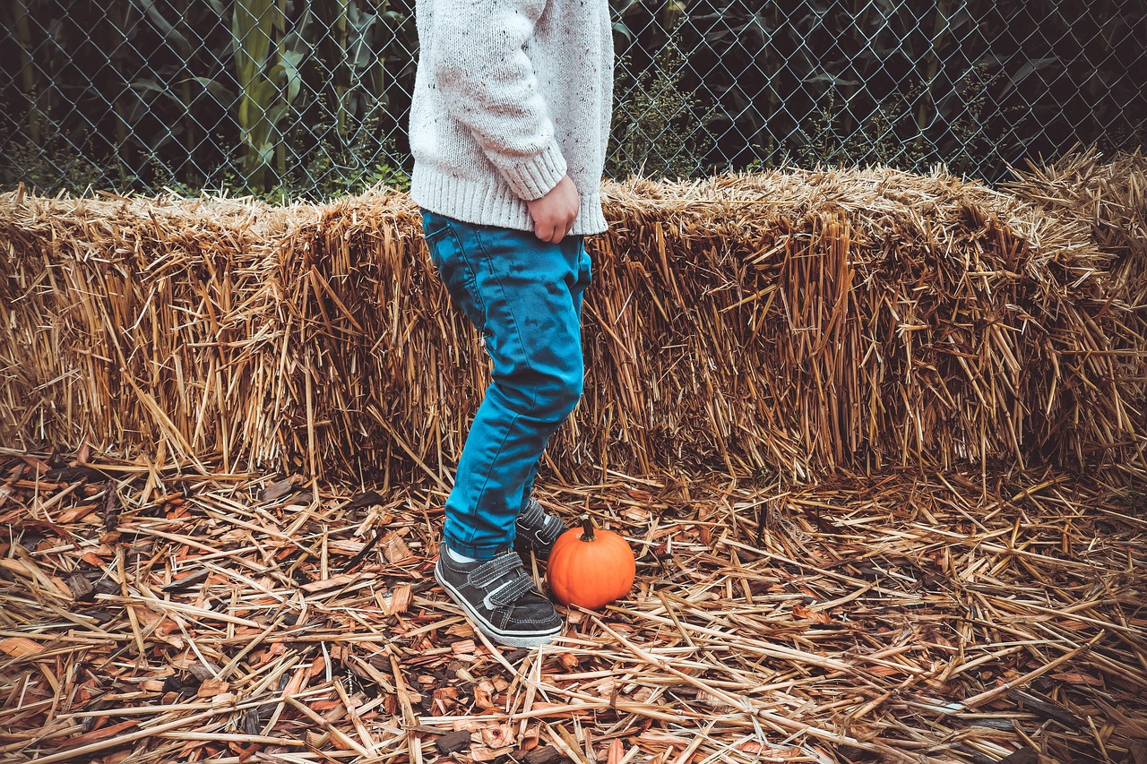 如何在家里陪孩子玩的游戏,提升亲子关系? 如何在家里陪孩子玩的游戏,提升亲子关系?