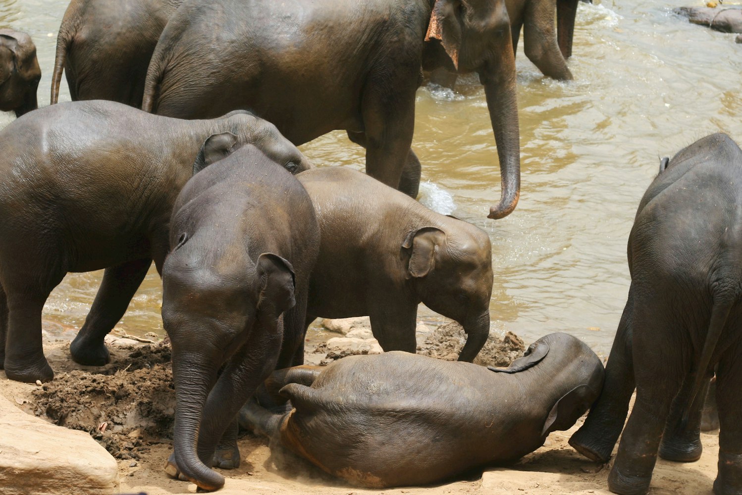 微信好友斗牛游戏怎么玩?规则详解与技巧分享 微信好友斗牛游戏怎么玩?规则详解与技巧分享