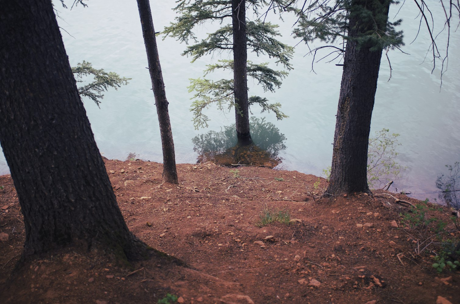 野外生存游戏如何搭房子？技巧分享与材料清单