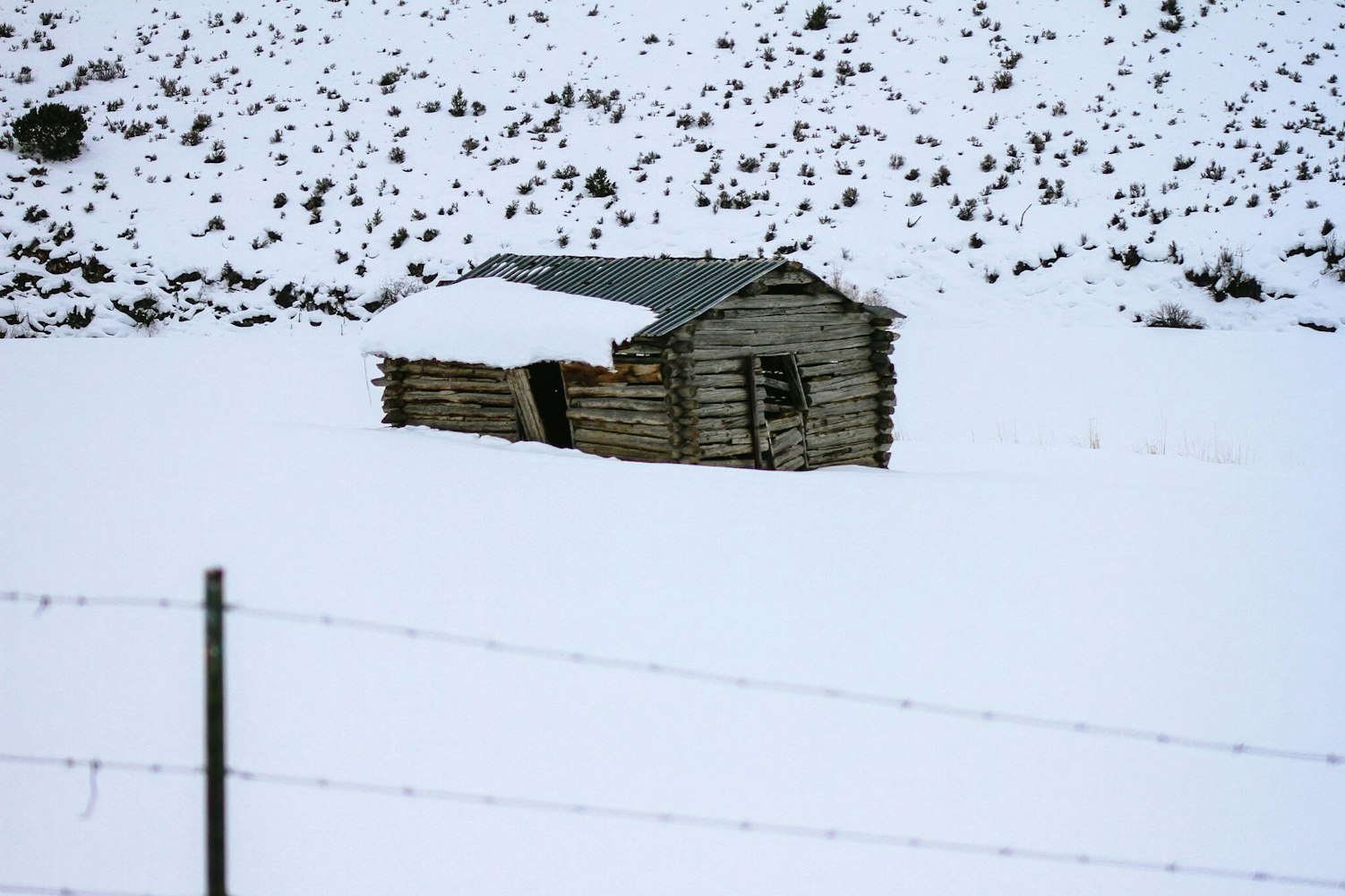 搭房子的游戏，如何省钱又好玩？